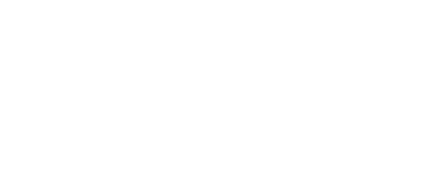 ANKER dark
